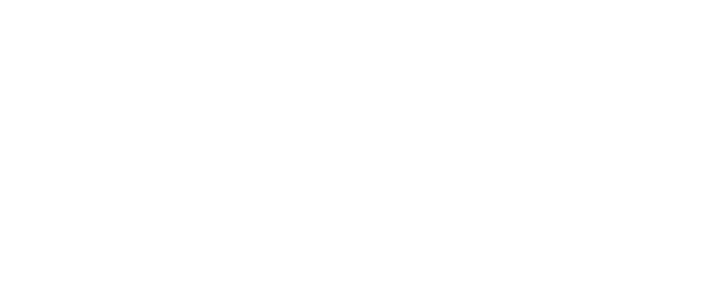 logo light